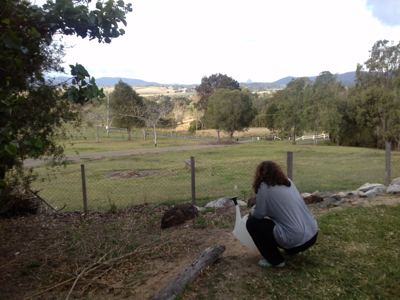 CAM02499.jpg