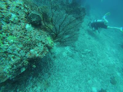 GOPR0097.jpg