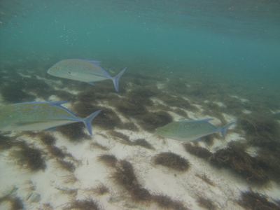 GOPR0303.jpg