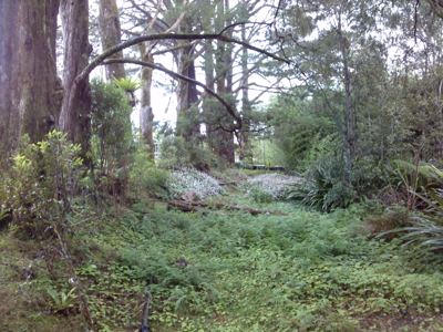 CAM00267.jpg