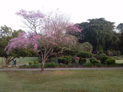 CAM00626.jpg