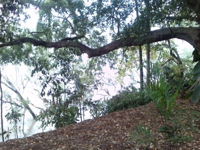 CAM00639.jpg
