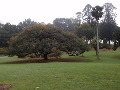 CAM00644.jpg