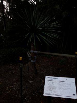 CAM00645.jpg