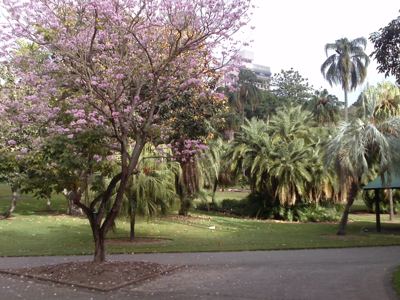 CAM00648.jpg