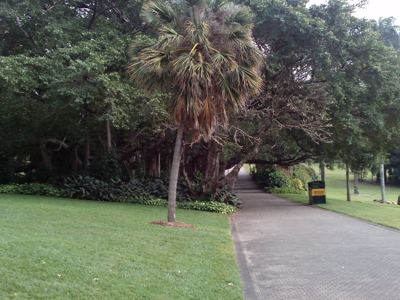 CAM00649.jpg
