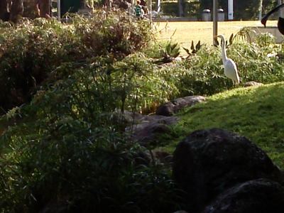 CAM00658.jpg