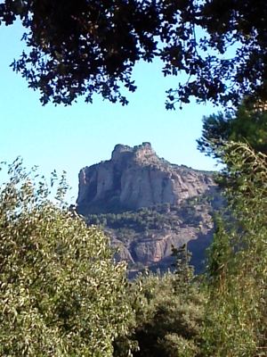 12-CAM00715.jpg
