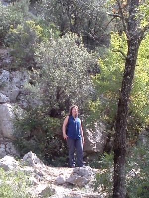 CAM00764.jpg