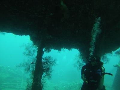 Diving Tulamben shipwreck (Bali)
