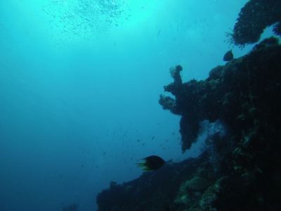 GOPR0370.jpg