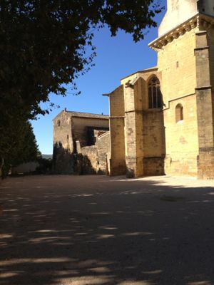 IMG_1417.jpg