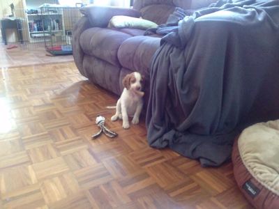CAM02469.jpg