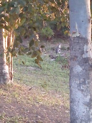 CAM02496.jpg